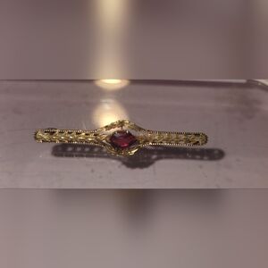 Victorian Era 10kt Gold and Red Gemstone Brooch